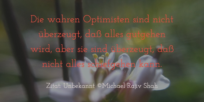 Zitate_Optimisten